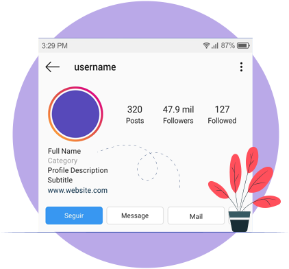 ProPlus Logics 's Effective  Instagram Marketing Service advantages- Creating And Optimizing Profile