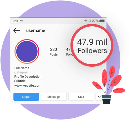 ProPlus Logics 's Effective  Instagram Marketing Service advantages- Increasing Followers
