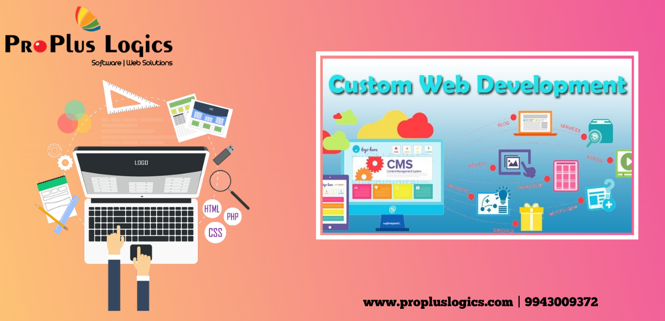 ProPlus Logics provides the affordable custom website service