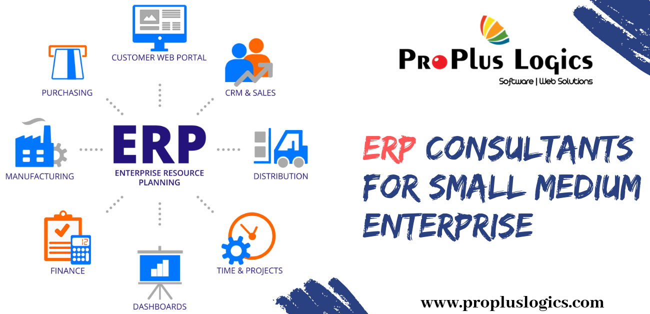ERP Consultants For Small Medium Enterprise (SME)